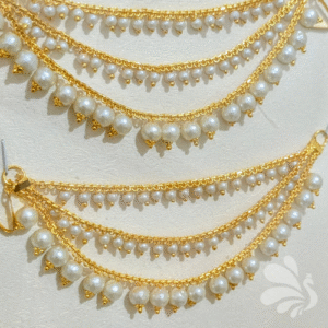 Champasaralu TSJCS0014